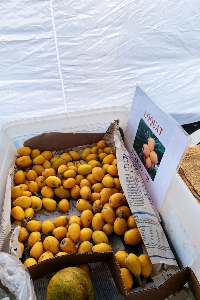 Big Island Hawaii Loquat at Local Farmer's Market