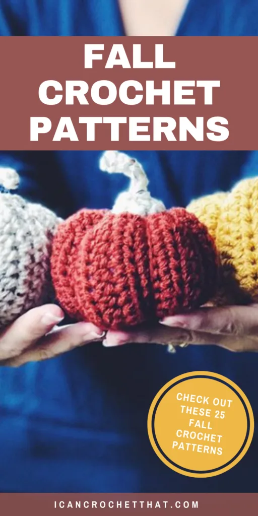 25 Fall Crochet Patterns For Beginners