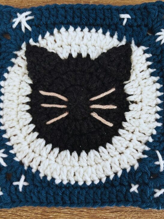 10 Spooktacular Halloween Crochet Granny Squares