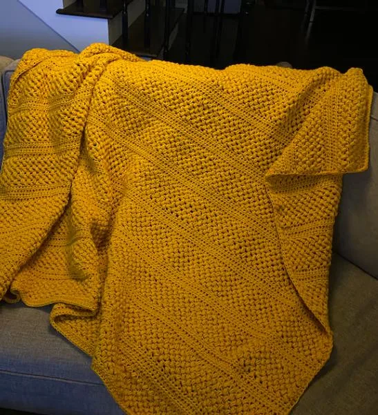 free beginner friendly crochet blanket pattern