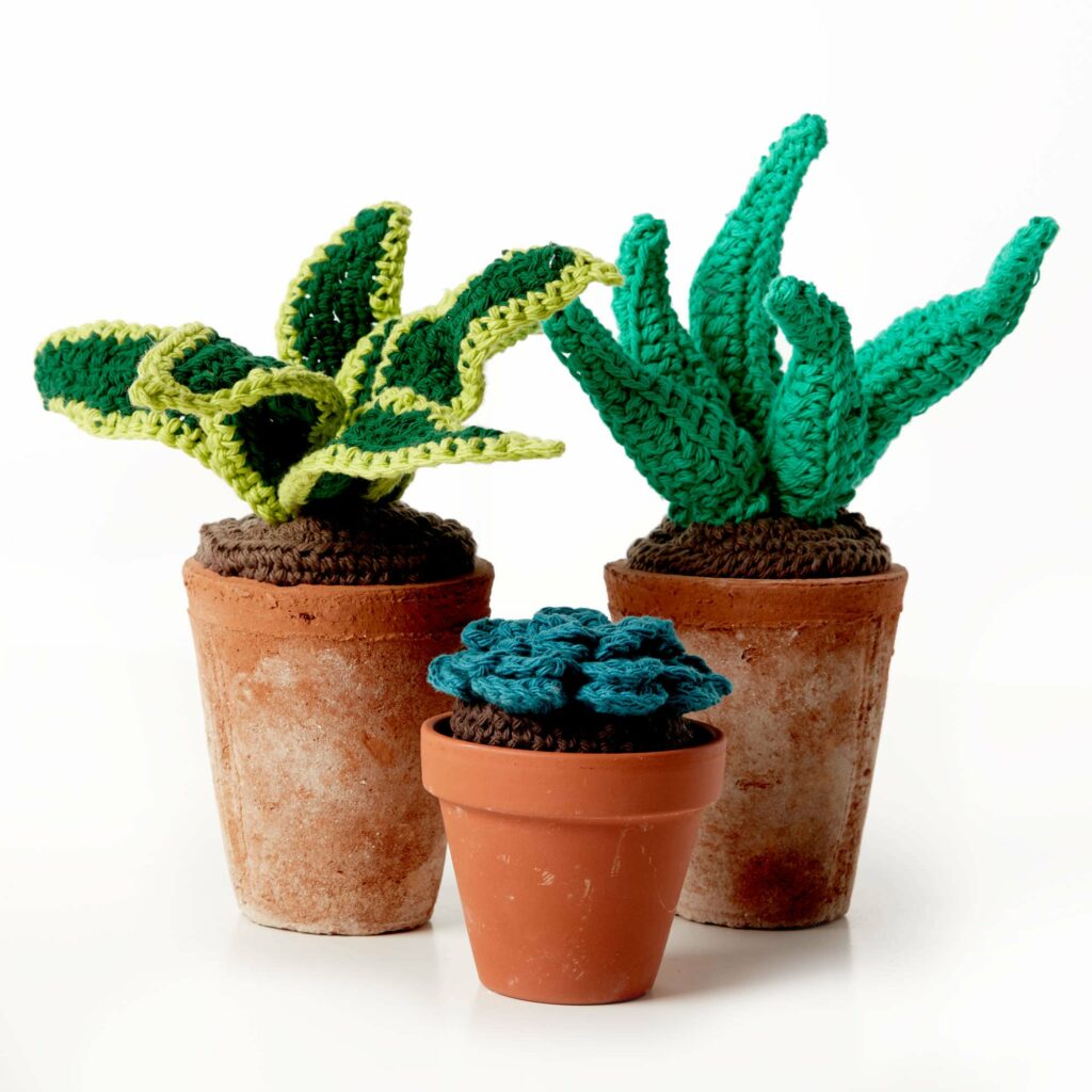 Crochet Projects: No-Green-Thumb Needed Plants