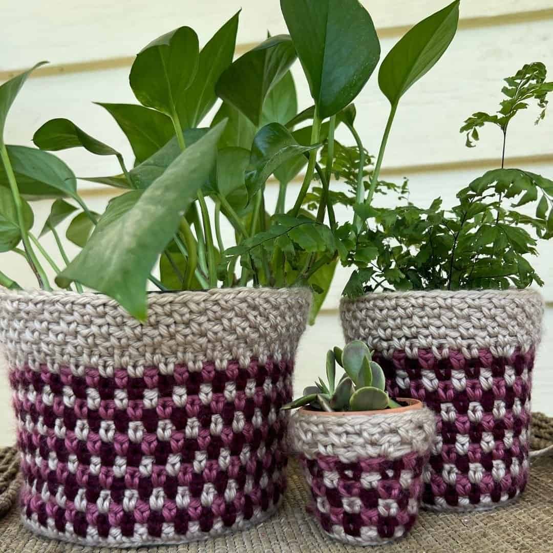Three potted plants sit in crochet plant cozies with beige and maroon checkered patterns, arranged on a textured surface against a light background.