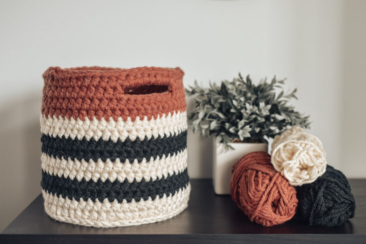 A crocheted basket with black, white, and rust stripes sits beside a potted plant and three skeins of yarn on a dark surface.